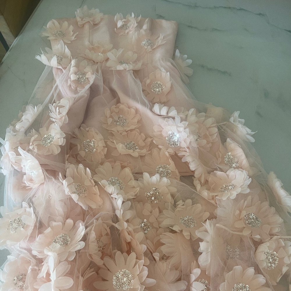 HELSI Exclusive Audrey 3D Floral Midi Dress - Size Small - Picture 4 of 7